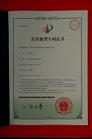 �V�����C��