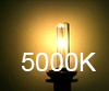 HID 5000K(Pr)